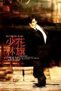 花旗少林国语在线观看,跨国传奇，少林功夫震撼呈现  第2张