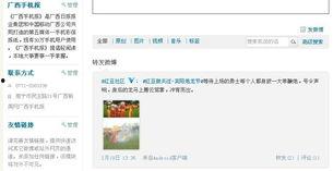 宾阳实时最新新闻爆料